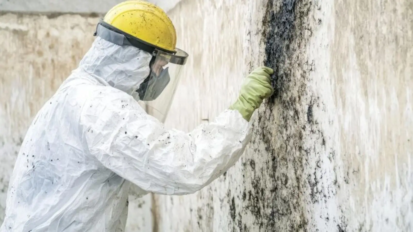 Worker in a hard hat, goggles and protective suit scraping black mold from a wall