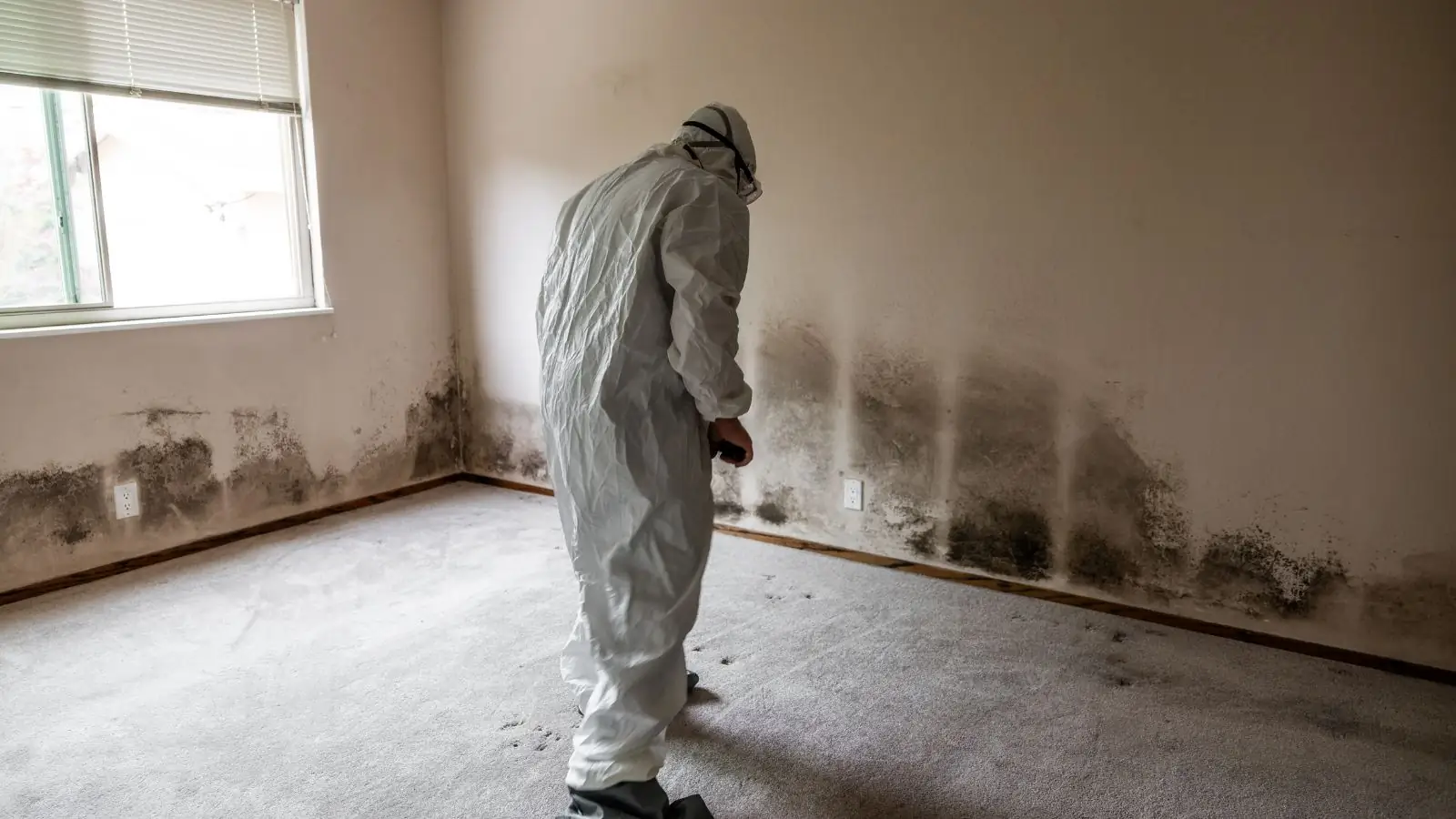 Person in a protective suit standing in an empty room with mold along the baseboards