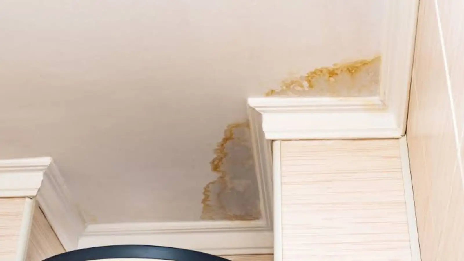 Small brown water stain on a ceiling next to crown molding