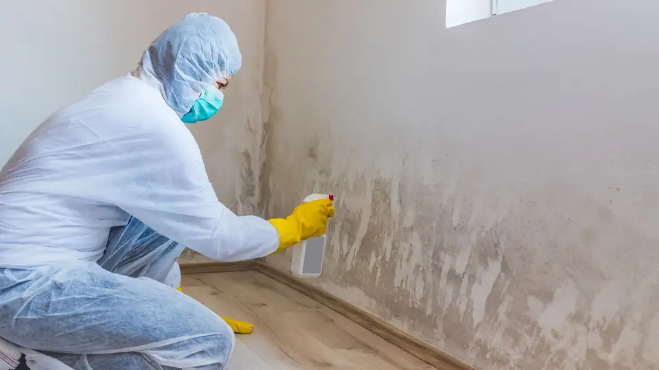 Technician in protective gear cleaning mold from the base of a wall